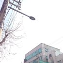 판다칸칸 | [독산맛집] 독산동 독선역 근처 판다칸칸 중국집 후기
