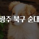 광주순대 이미지