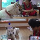 메리랑 메롱이네 이미지