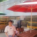 월선 | 아이와 아산 피나클랜드 수목원 튤립축제 불꽃놀이 4월 입장료 후기