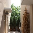 아프레투아 이미지