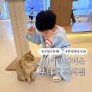 4919 | 아이와 다녀온 깔끔한 고양이 카페, 부타캣 강서점 후기