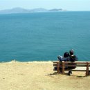 바람의언덕 이미지