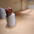 신세계의류매장 이미지