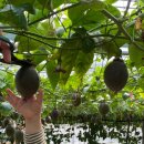 두리농장 이미지