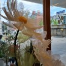 황금성PC 이미지