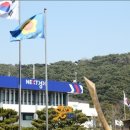 매산로테마거리상점가 이미지