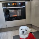 콩이네 방앗간 이미지