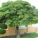 죽장상옥분교 이미지