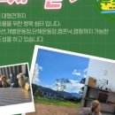 투포캠프 이미지