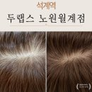 동서울 카크리닉 | 서울헤드스파 두랩스 노원월계점 하비카 프리미엄 물염색 내돈내산 후기