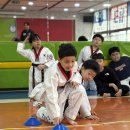 단국대 우리태권도장 이미지