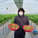 경영2농장 이미지