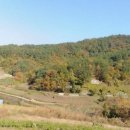 남해-306 이미지