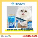 대현엠앤씨 이미지