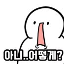보우사주