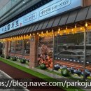 봉곡동138 | 봉곡동고기집에서 한 봄맞이 회사회식의 최고의 선택은[마포화로]