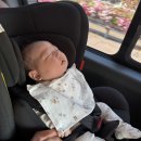 용산-50 | 서울엄마아빠택시 타다 이용후기, 아이민스튜디오 용산 50일촬영 후기