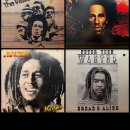 정치06 | 2025년 09월 06일 World Music | 월드 뮤직 컬렉션