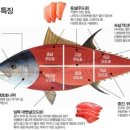 신독도참치 이미지