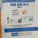 퍼피동물병원 이미지