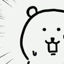 1974유달동미스박 이미지
