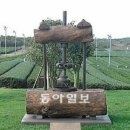윤독 이미지