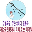 우리나라공인중개사사무소 | 우후죽순 개업 공인중개사 이대로는 어려워