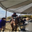 해운초등학교 이미지