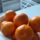 와따PC방 | 1월 말이야 벌써 ~~