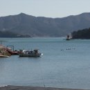 남산공원오토캠핑장 이미지