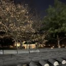 (주)시즌글라스 이미지