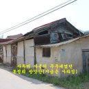 토속다인 이미지