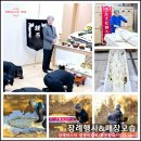 운반미 | 동절기 염쟁이강씨의 아버님의 미 육탈 산소 이장과 어머님의 입관 및 매장-합장묘 조성