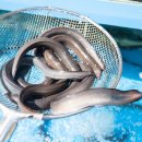 축항대로118번길 이미지