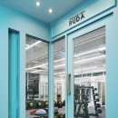 루다피티 이미지