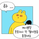 대성전기조명 이미지
