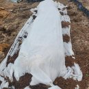 황금수퍼 이미지