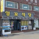 소설 태백산맥 문학기행길 Daum카페