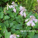 좌동산책길 이미지