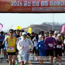 금산웰빙홍삼