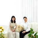 언니네강아지 이미지