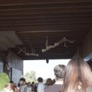 상하평화목장 이미지