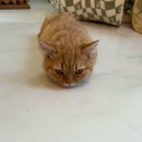 프랜즈 | 파주 운정역 가볼만한곳 미어캣프랜즈 내돈내산 후기 (만지기체험, 솔직평, 주차 등)