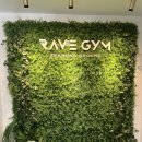 레이브짐 이미지