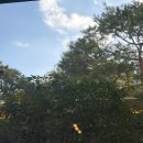 서구-01-57 | 2026 두 번째 ⭐️SEULOG⭐️ (2026/01/13 ~2026/01/26)