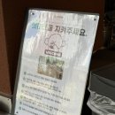브라운콤마 | 🐾 [하남 신상 카페] 통창 뷰가 예쁜 반려동물 동반 카페, '더콤마라운지 하남감일점' 방문 후기 🎶