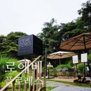 대구 북구 브런치카페 로에베 플로레스 후기｜초록초록한 정원뷰에서 즐긴 브런치
