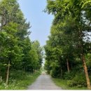 제 660회 행복걷기 (영종도 하늘길 ) 이미지