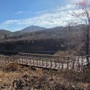 아라마루 이미지